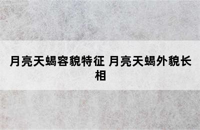 月亮天蝎容貌特征 月亮天蝎外貌长相